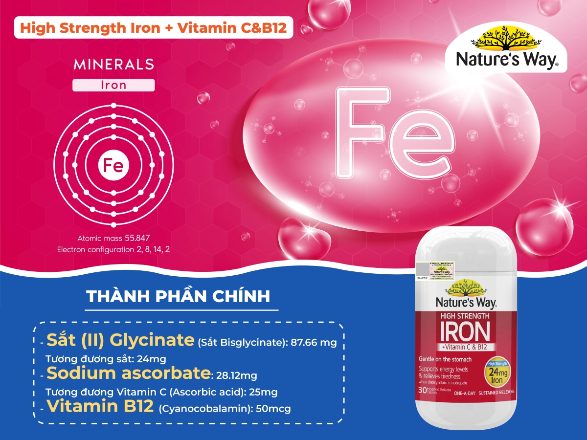 Nature’s Way High strength Iron + Vitamin C&B12